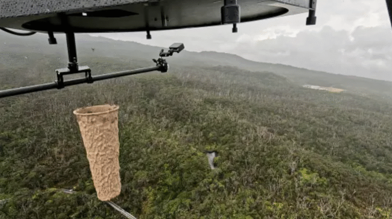 A biodegradable pod carrying around 1,000 mosquitoes is dropped from a drone. Adam Knox/American Bird Conservancy