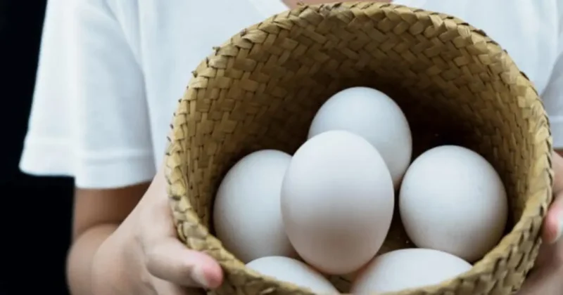 Telur bebek memiliki kandungan gizi yang lebih tinggi dibandingkan telur ayam dan dipercaya berkhasiat untuk kesehatan pria. (Sumber: Freepik)