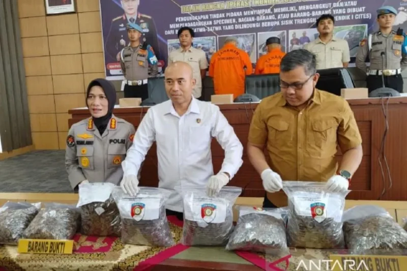 Polda Sumbar menggelar jumpa pers pengungkapan kasus dugaan perdagangan gelap bagian satwa dilindungi di Padang pada Kamis (25/9/2025). (Sumber: ANTARA/Fathul Abdi)