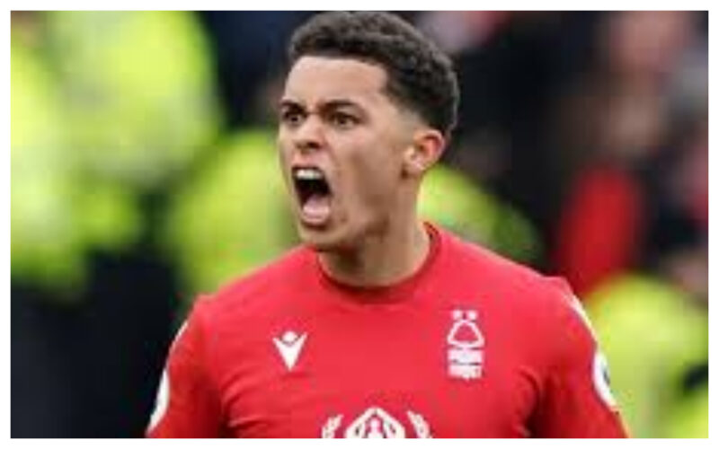 Brennan Johnson. (Sky Sports)