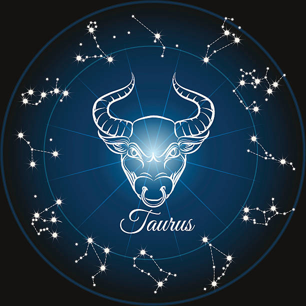 Zodiac sign taurus and circle constellations. Vector illustration