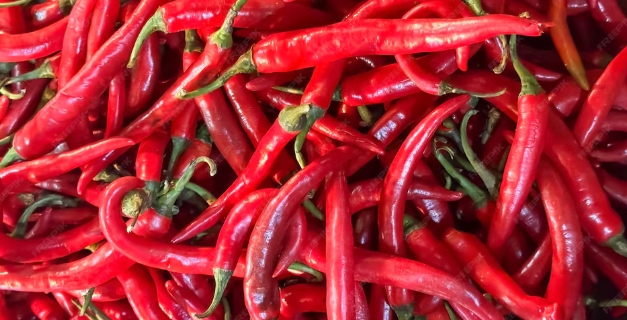 Capsaicin adalah senyawa kimia dalam cabai yang bersifat hidrofobik (takut air), sehingga minum air putih tidak efektif untuk menghilangkan rasa pedas. (Foto: Freepik/koransakti.co.id)
