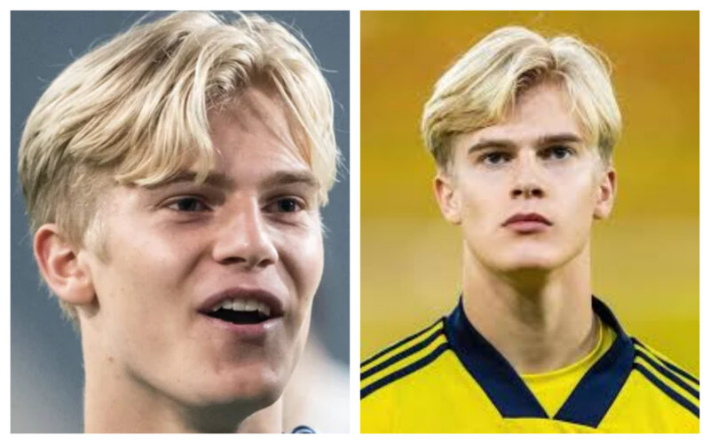 Lucas Bergvall. (Kolase)
