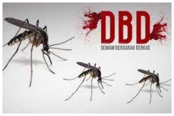 DBD.