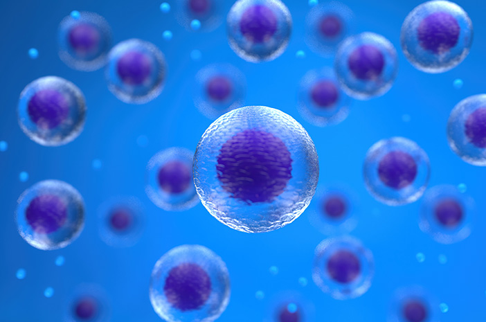 Mekanisme biologis tubuh saat berpuasa yang mengaktifkan proses pembersihan sel rusak secara alami, menjadi benteng pertahanan utama dalam melawan pertumbuhan sel abnormal.