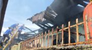 Si Jago Merah Ngamuk di Koto Tinggi, 1 Rumah dan 3 Bedeng Ludes Terbakar