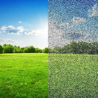 Visual Snow Syndrome.